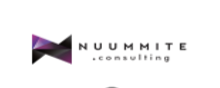 nuummite